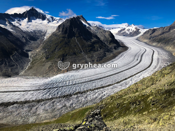 Glacier d'Aletsch (Suisse) - gryphea.org
